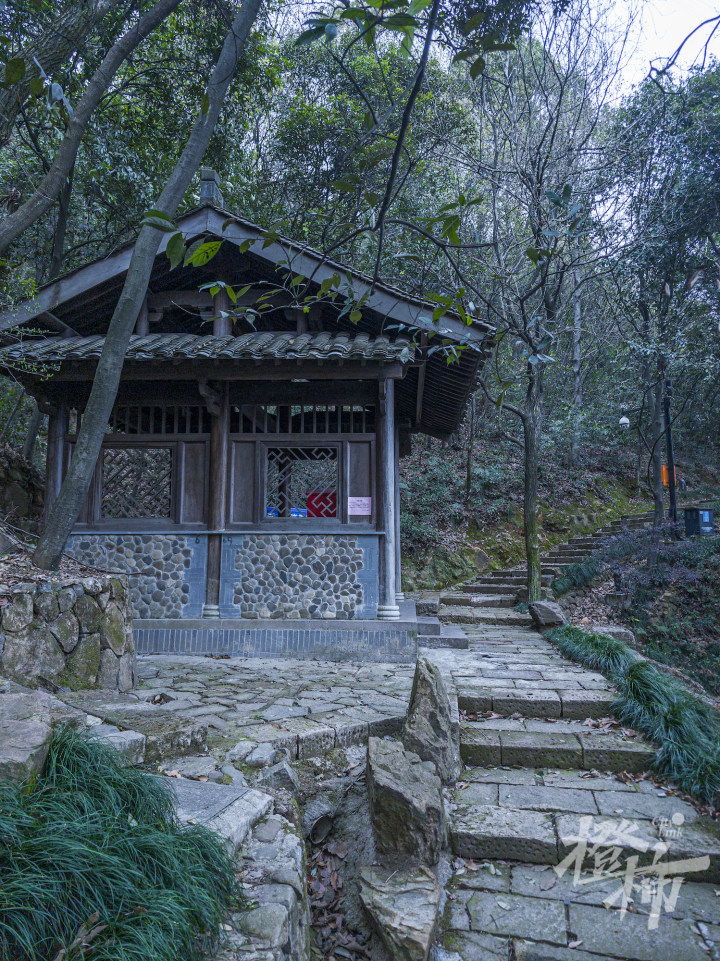 巍巍皋亭杭州靠山800年前杭州人的赏桃天花板山上的神秘图腾当年