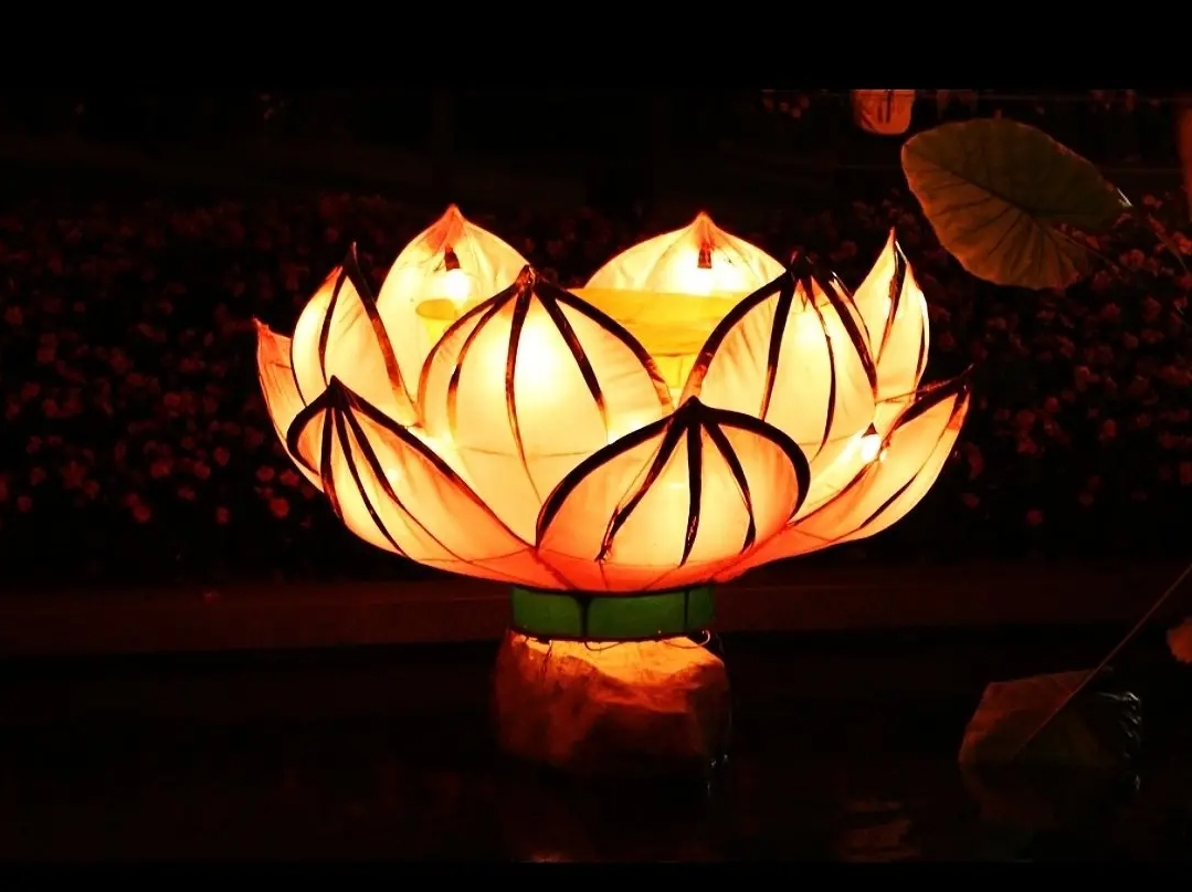 放莲花灯的节日是什么节日
