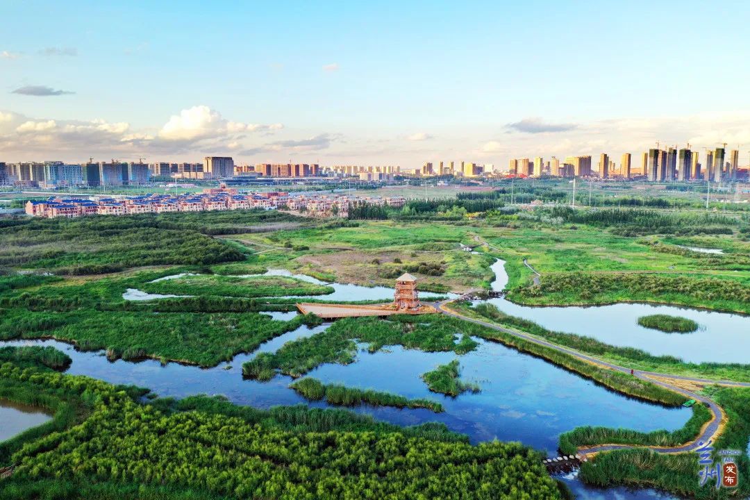 兰州新区这十年 | 人与自然和谐共生 生态美景入画来(组图)