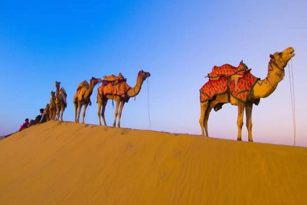 库布齐沙漠在哪