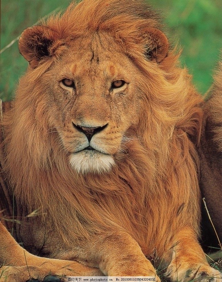 刑辩实录——认识框架和现场应变