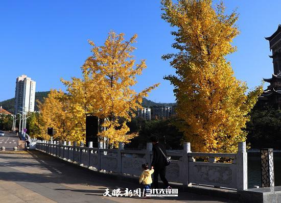 毕节同心城市公园:秋日好风光