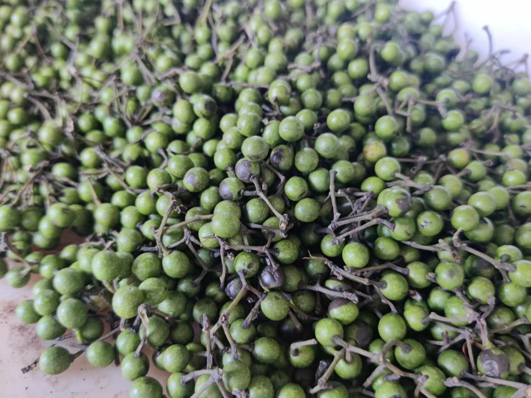 长年供应木姜子(山苍子)干货