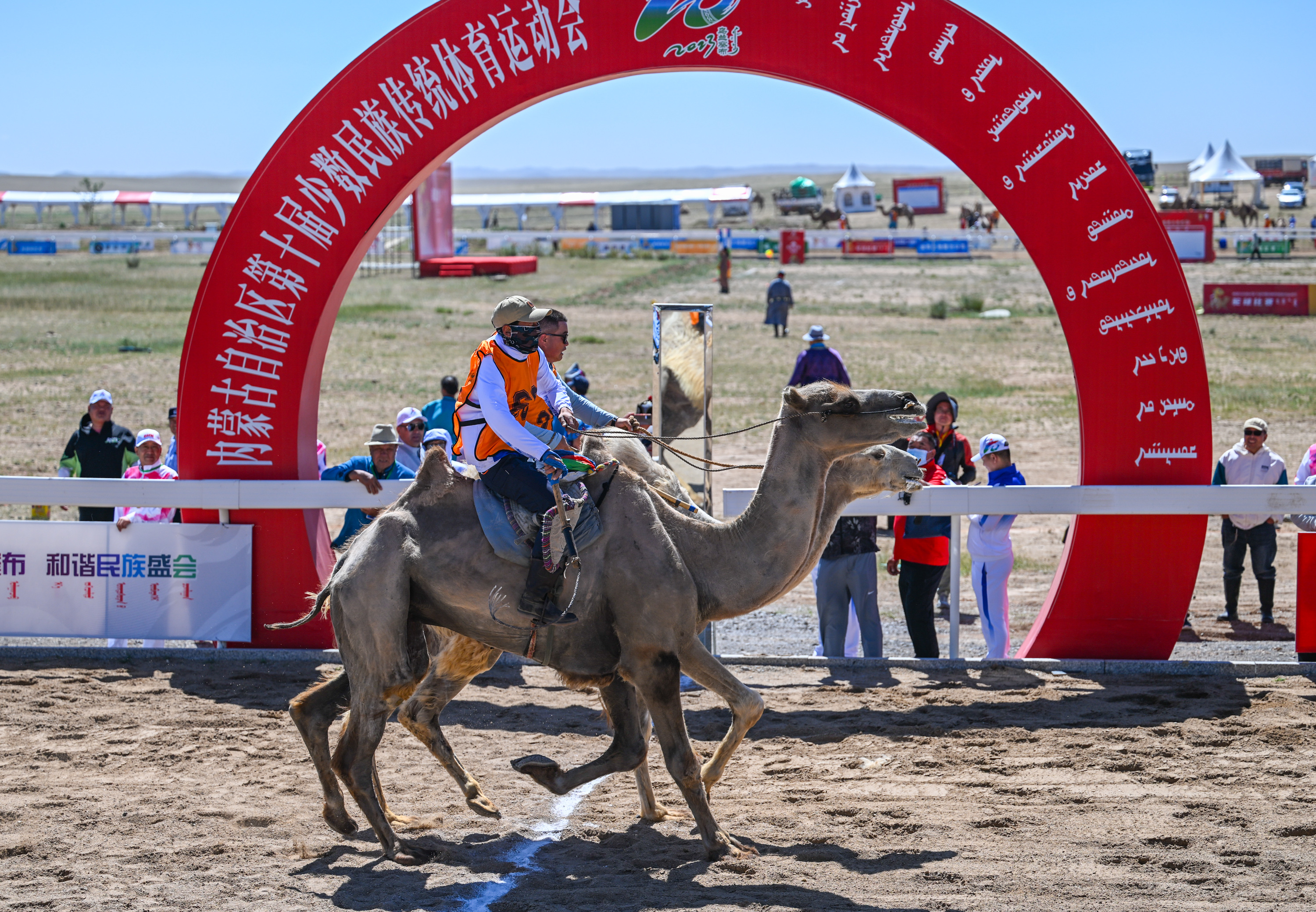 内蒙古自治区第十届少数民族传统体育运动会赛驼项目开赛