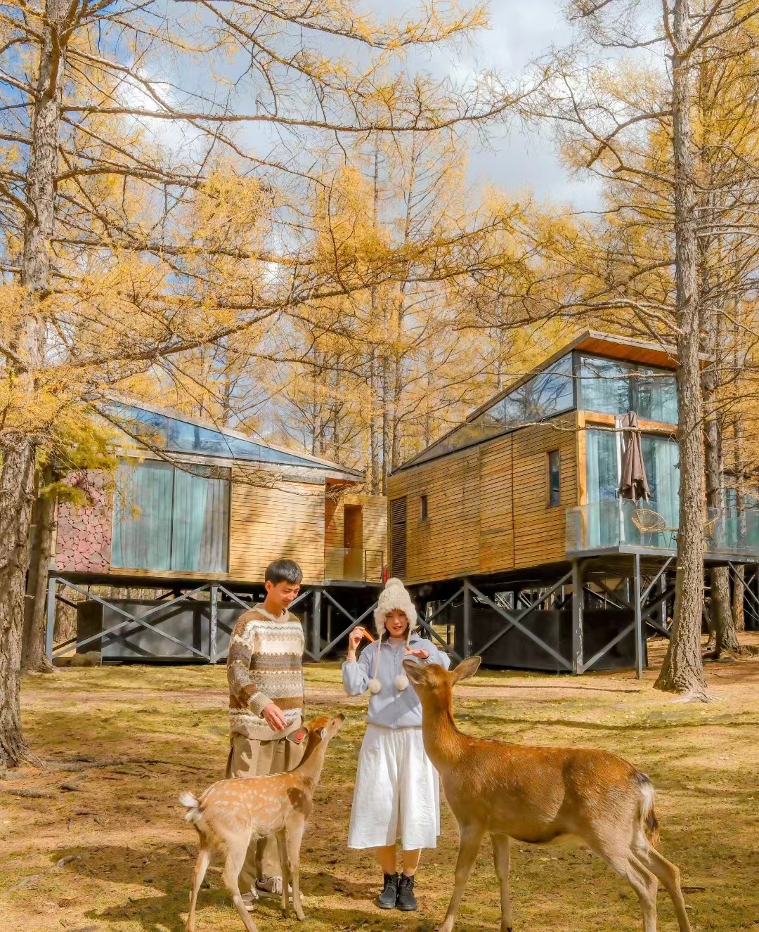 阿尔山景点介绍,总有一处美丽的景色属于你,还不快来观赏