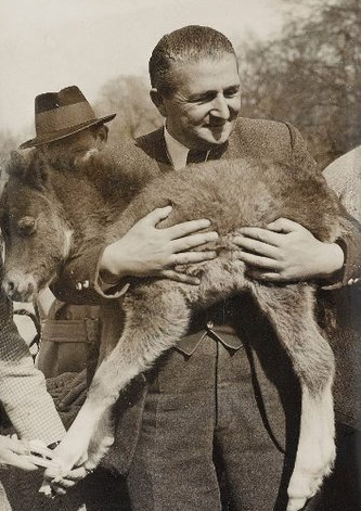 开卷有牛丨为血统纯洁,纳粹复活"上古神兽"!