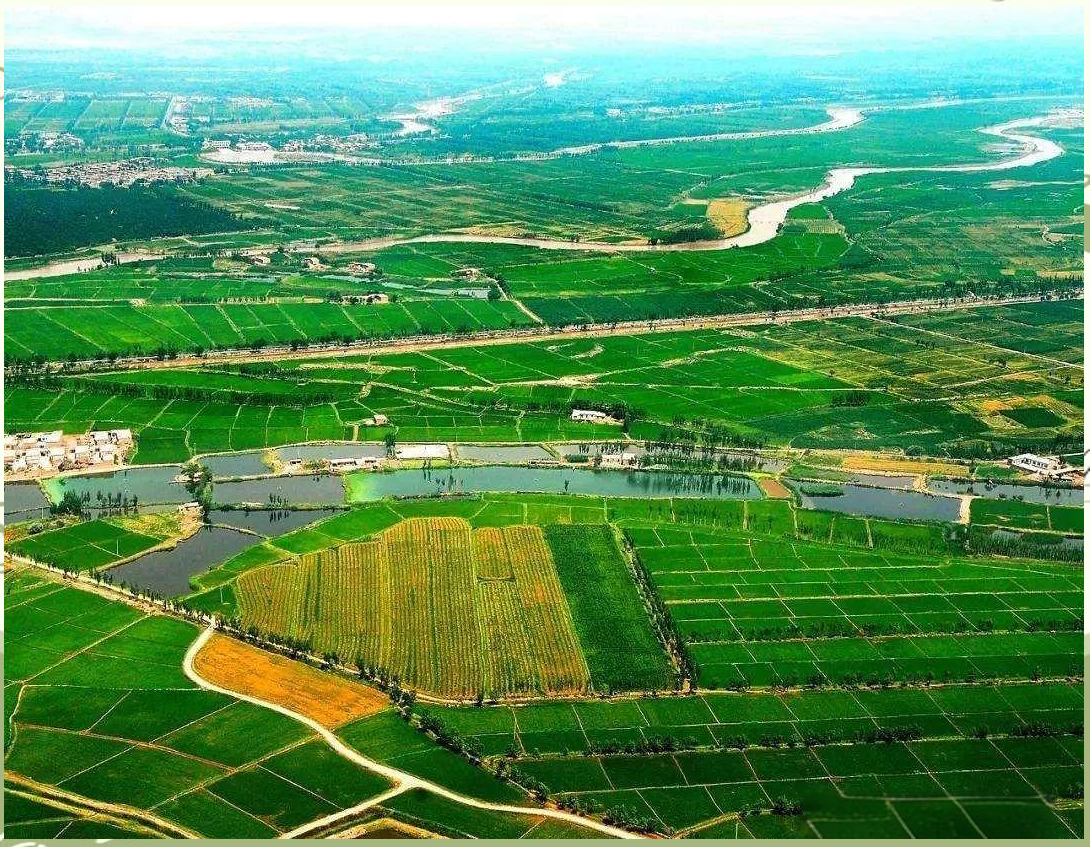 探秘宁夏平原:地理特征与多元产业发展的完美交融