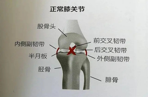 肩膀痛