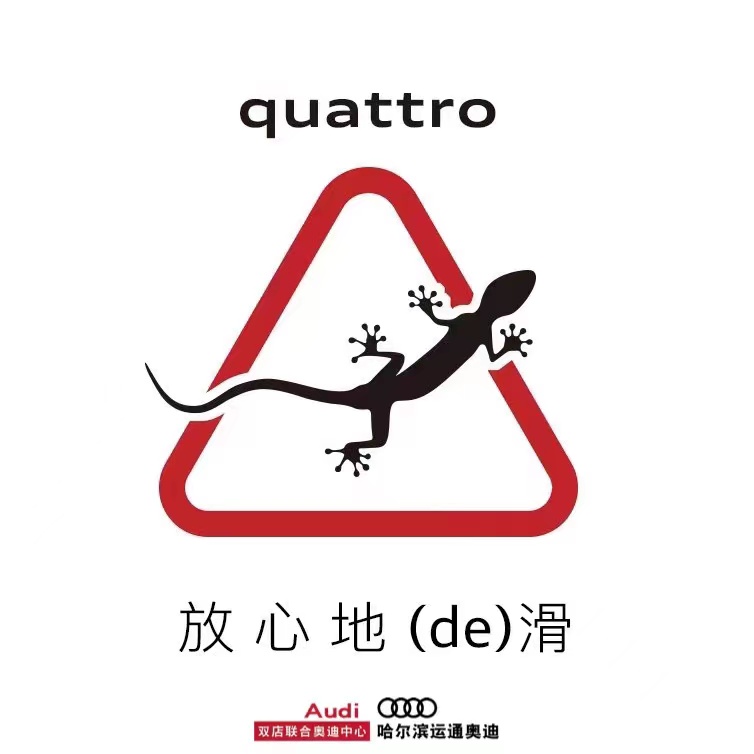 手滑脚滑quattro不滑冬天雪天没在怕!