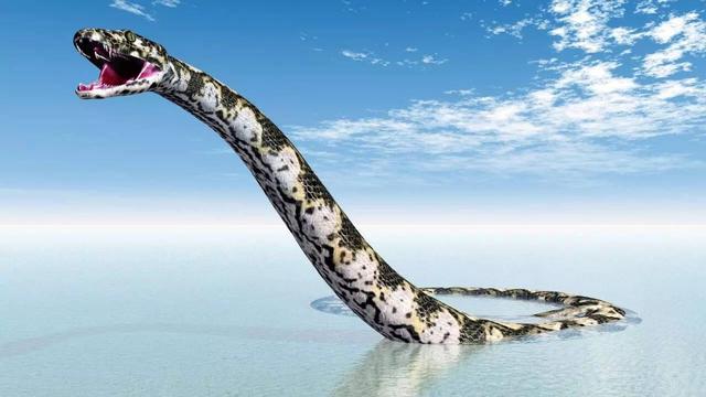 13米长的"蛇中巨无霸"!泰坦巨蟒凭什么成为地球史上最大蛇?