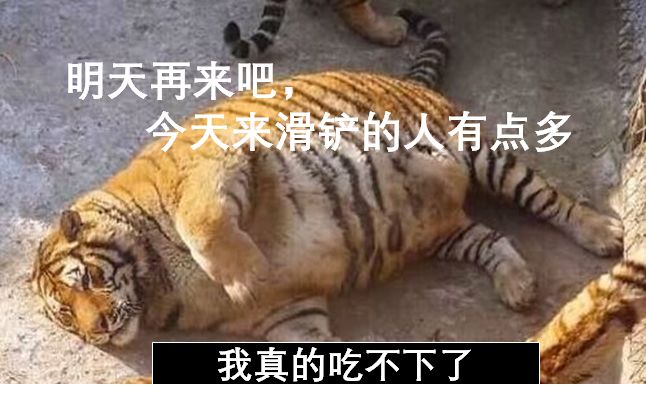 "滑铲"是什么梗?这招真的能轻松对付老虎吗?