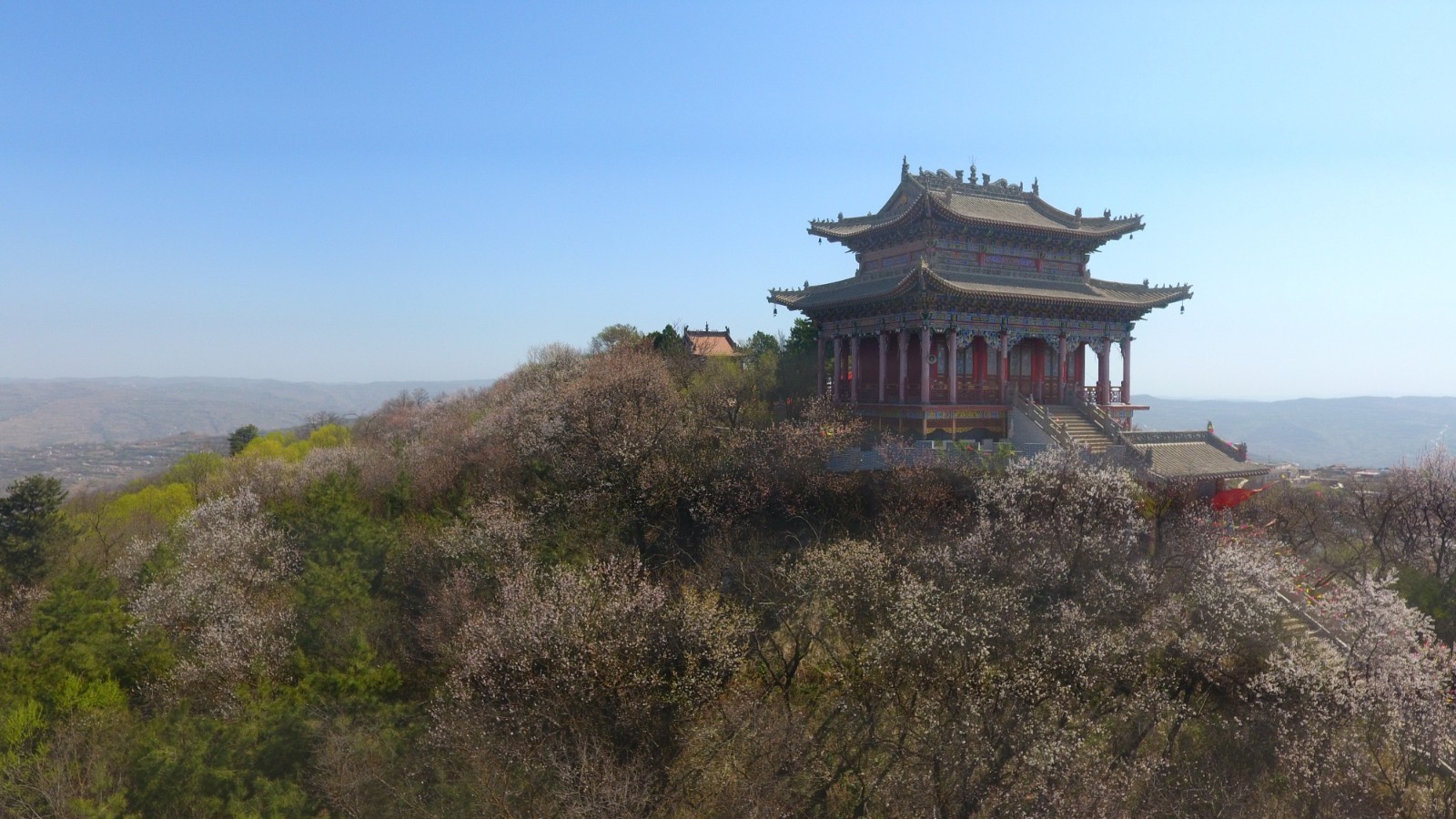 秦安县云山镇赤龙山:杏花盛开迎春归