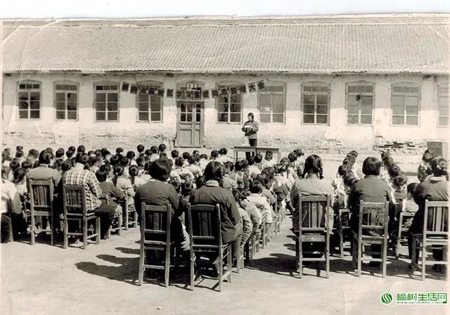 老照片首次曝光|榆树一园的今昔对比