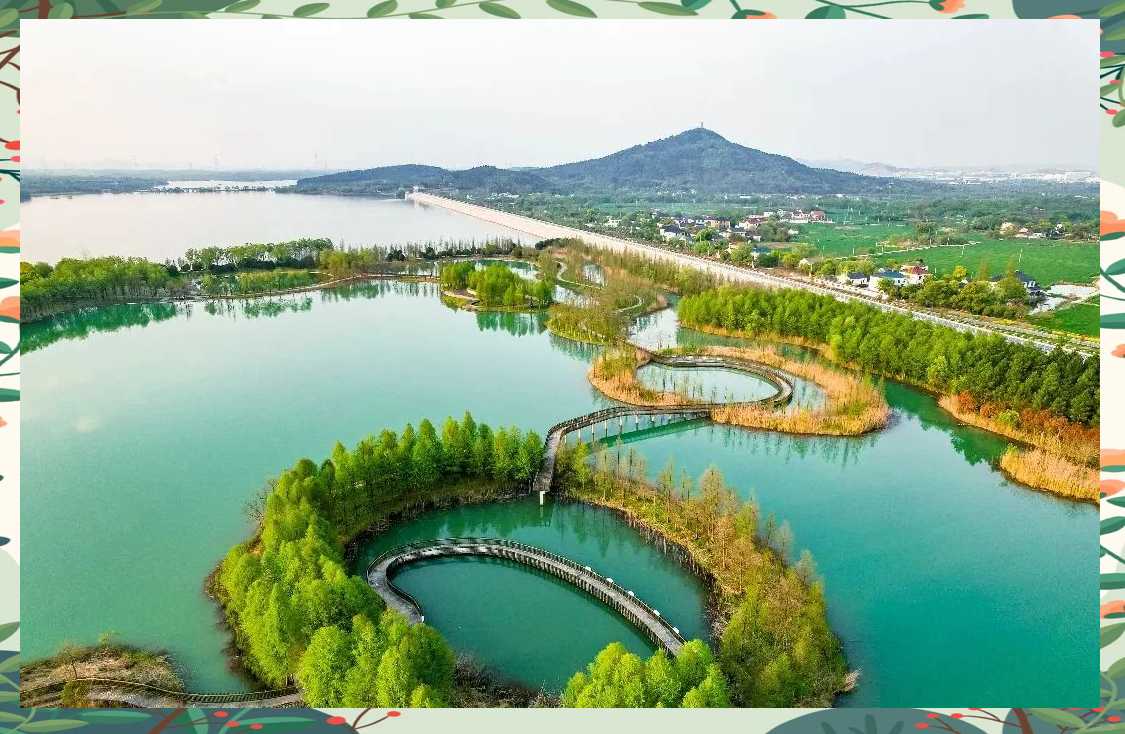 倒计时7天!探索长兴太湖9号公路:银杏纷飞与湖鲜美食的骑行之旅