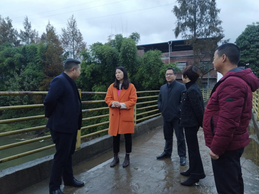 「区县动态」开江县委常委,组织部部长成娟开展新宁河巡河工作