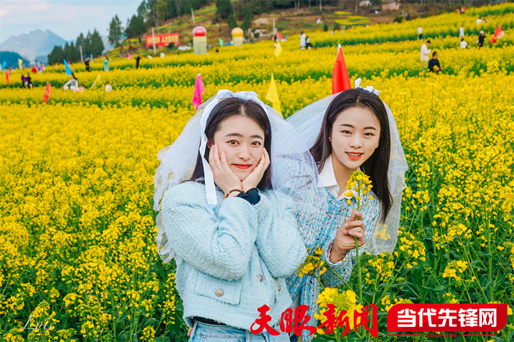 正安县杨兴镇:油菜花开引客来 农旅融合走"兴"路