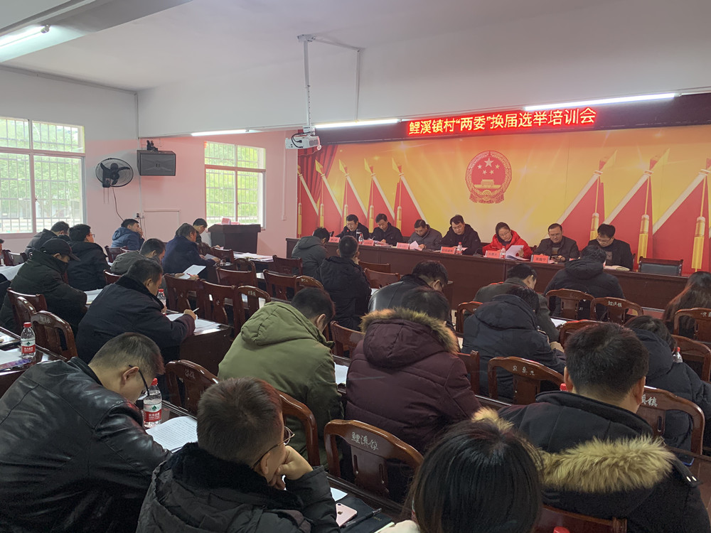 宁远乡镇召开村"两委"换届选举培训会