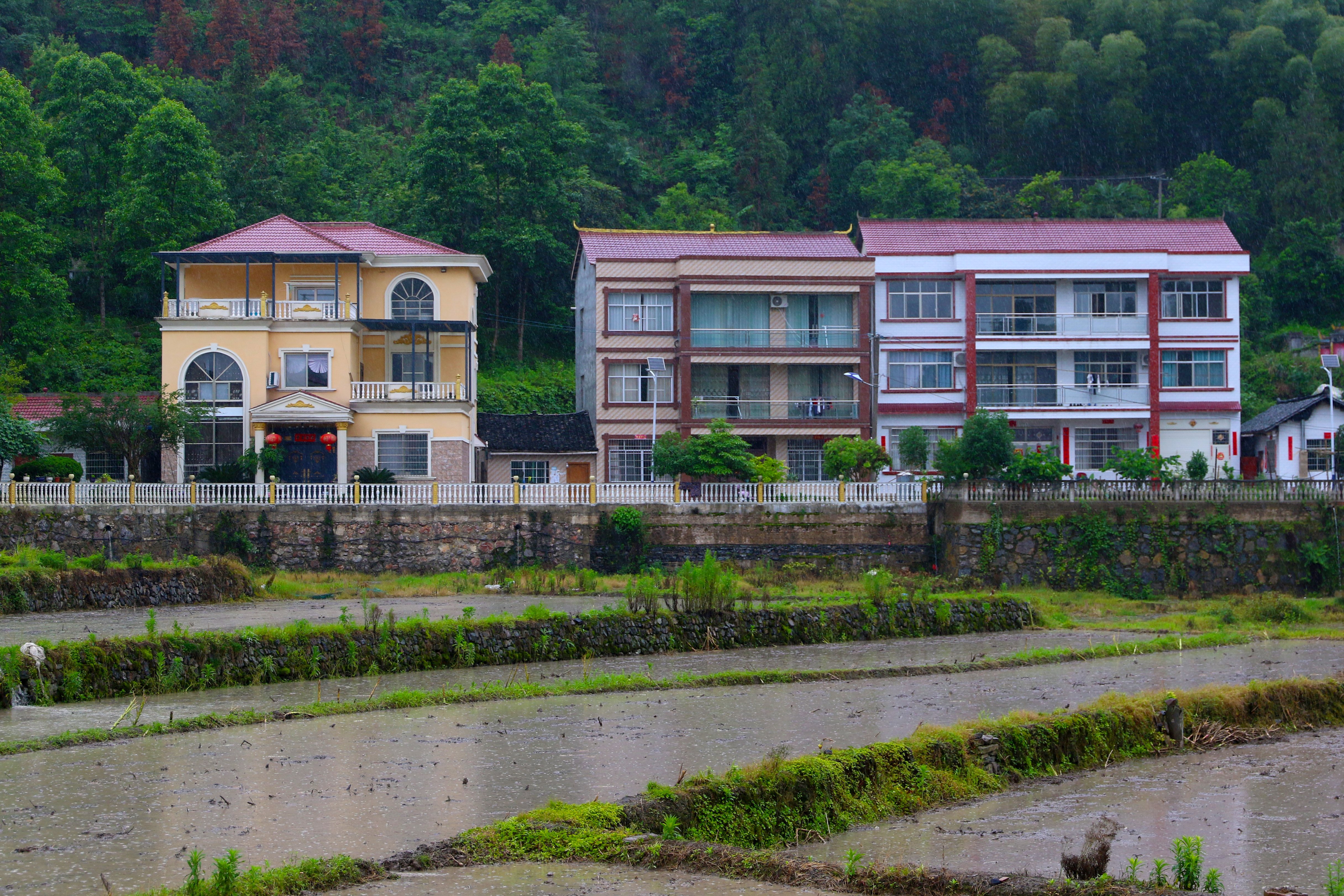 岑巩县思旸镇:立足代表履职"四字诀" 绘就美丽乡村新画卷