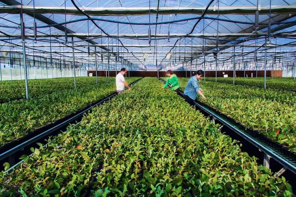 三穗县木良村丨山水之间过向往的生活