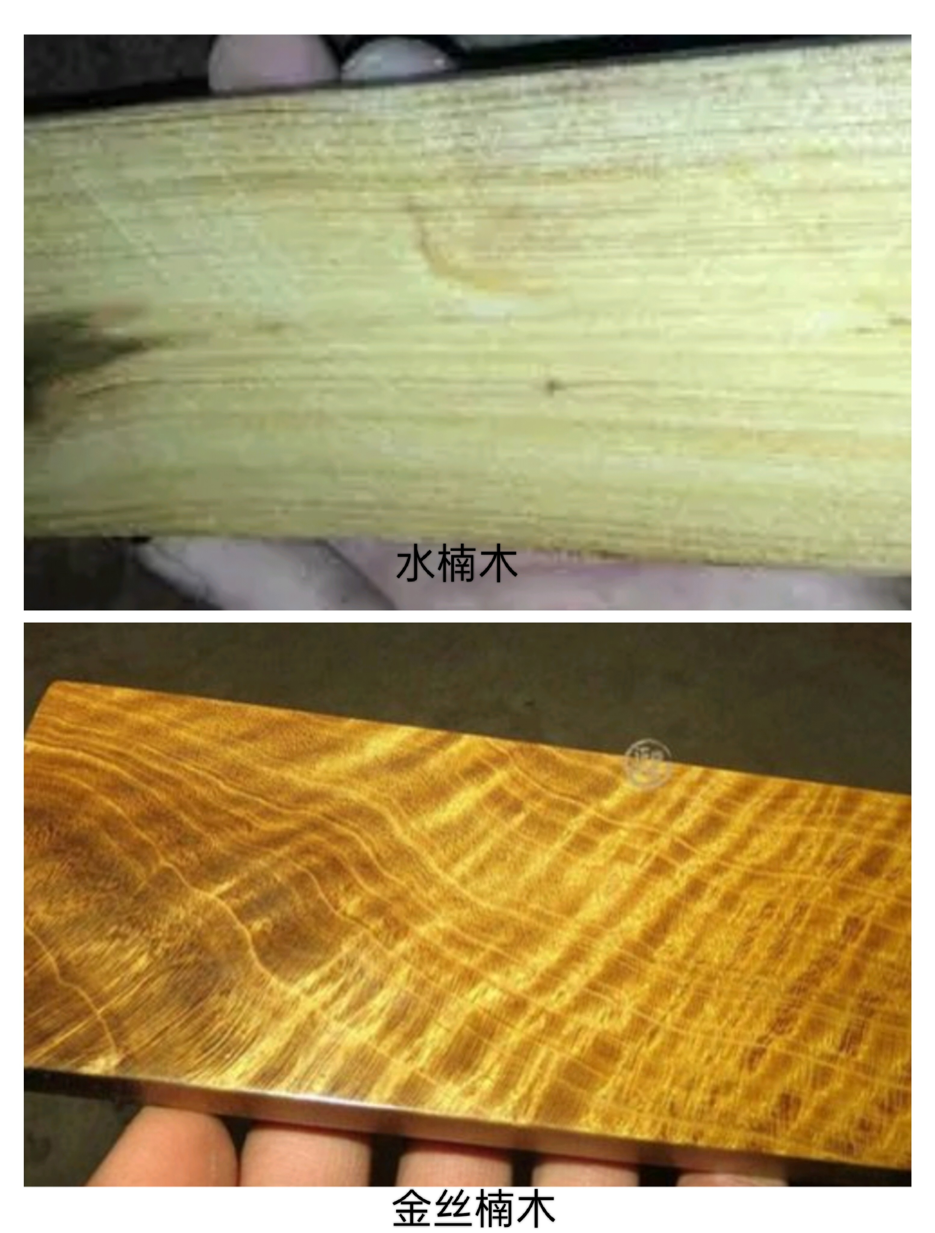 水楠木和金丝楠木区别