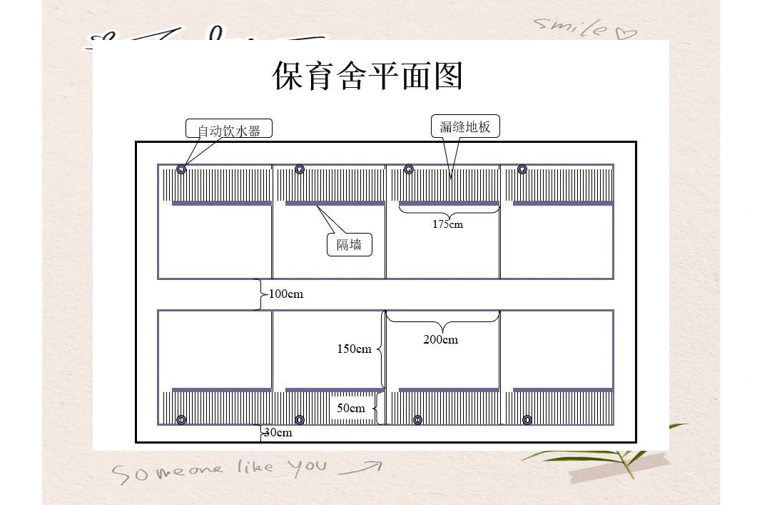 200头母猪猪场规划:从配种到上市全揭秘