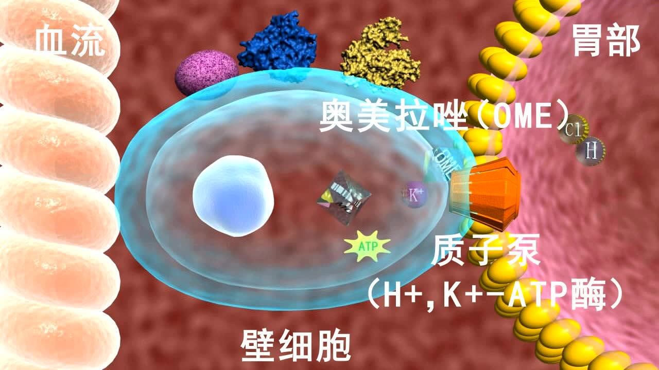 cyp2c19基因检测,指导质子泵抑制剂合理用药