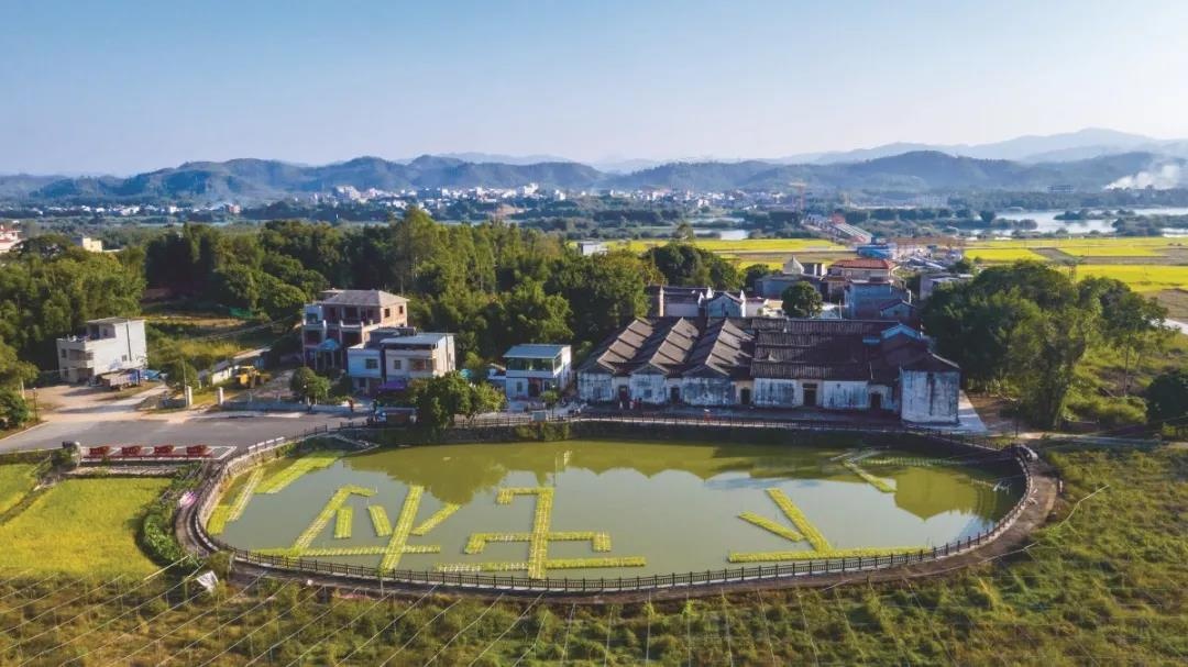 河源竟然藏着一个这么美的村庄