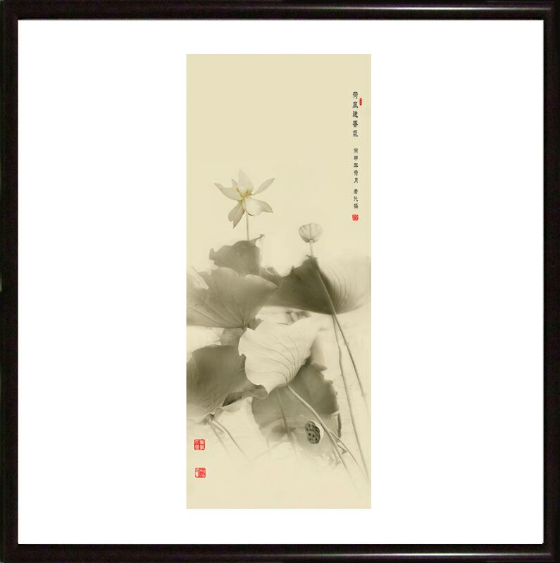 老沁:画意摄影 水墨荷花