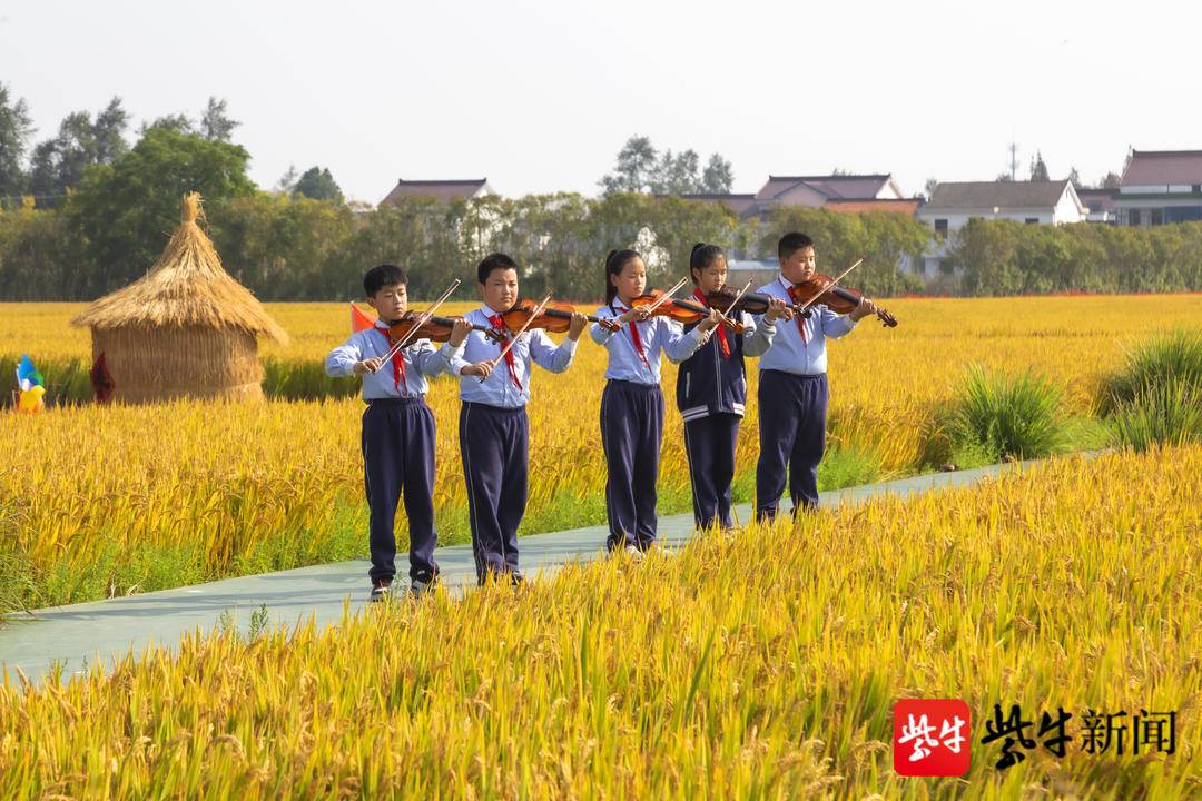 常阴沙实验基地图片