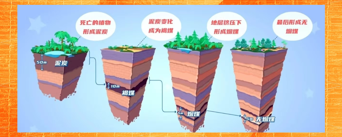 深入探究煤炭的神秘形成过程