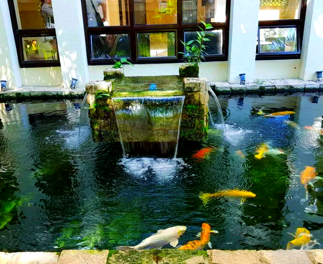 庭院鱼池设计要点全解析,助你成功建设锦鲤池!