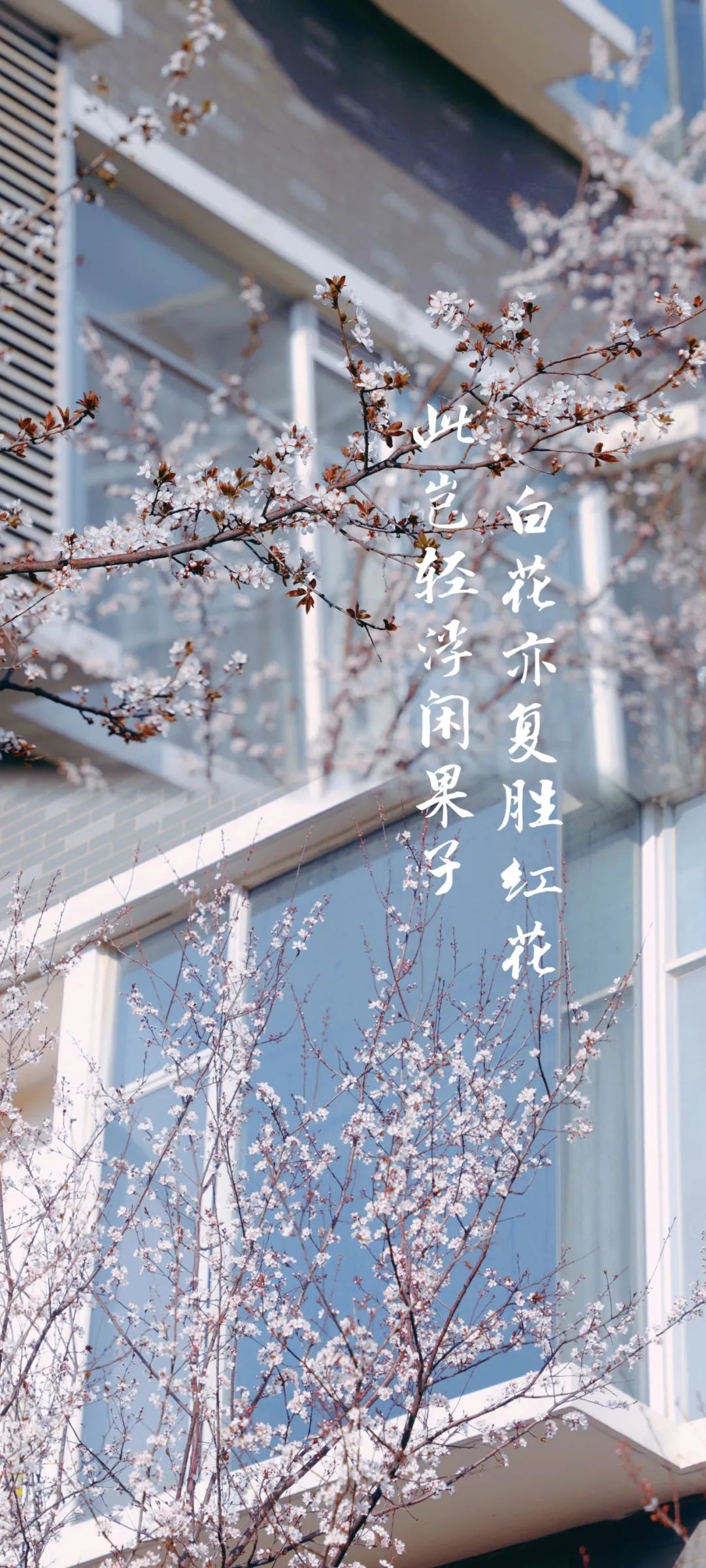 南昌大学的"花样年华"