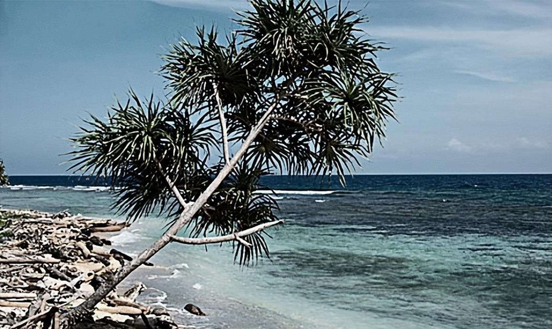 [浮云]巴布亚新几内亚海岸线资源与管理现状遇到的问题和挑战,应该