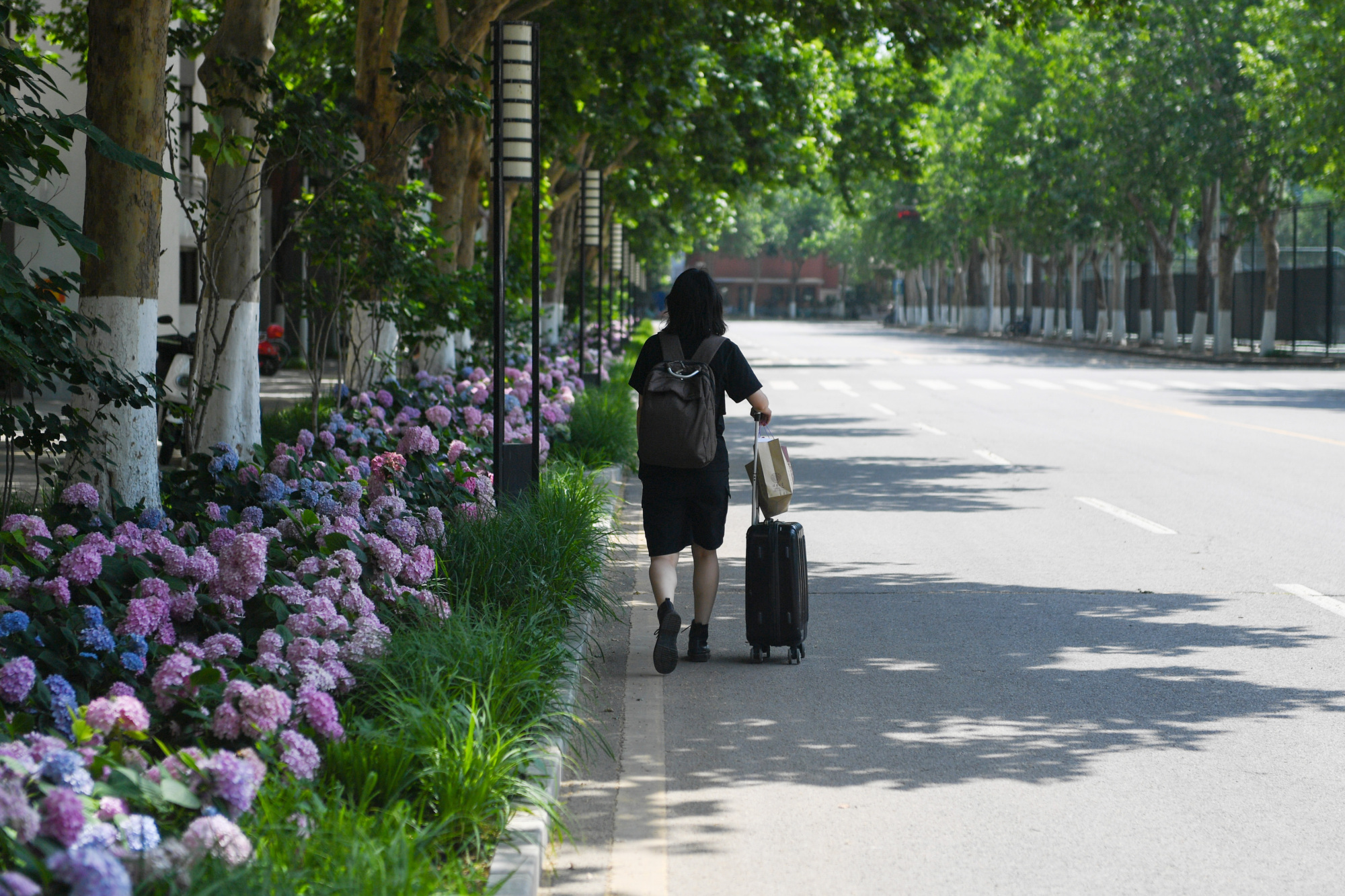最好采取步行,自行车,私家车方式上下学,乘坐公共交通或校车时应当