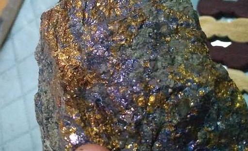 细菌氧化浸出,提高难选含金硫化矿出金率