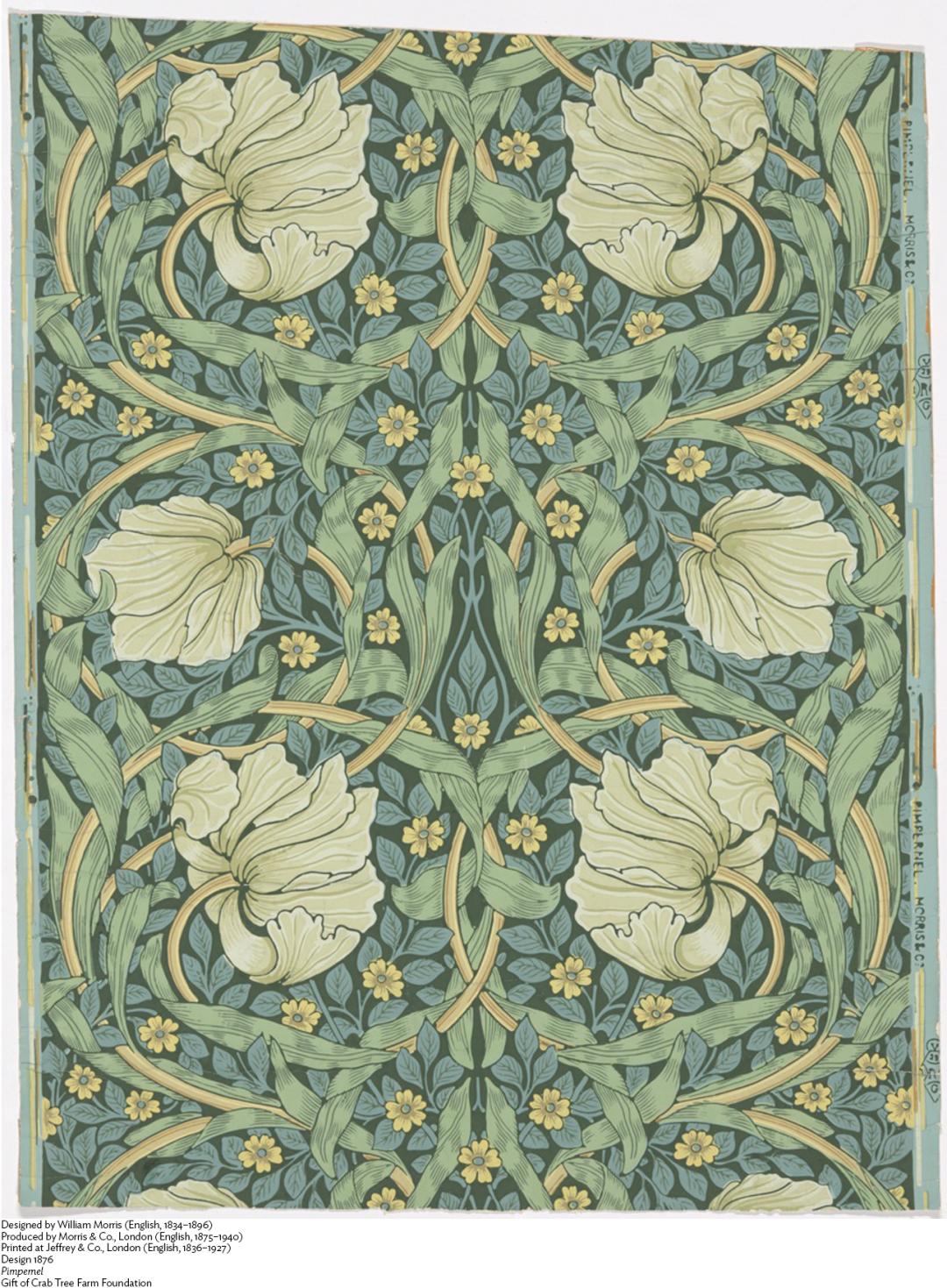 美的缔造者  | 威廉·莫里斯