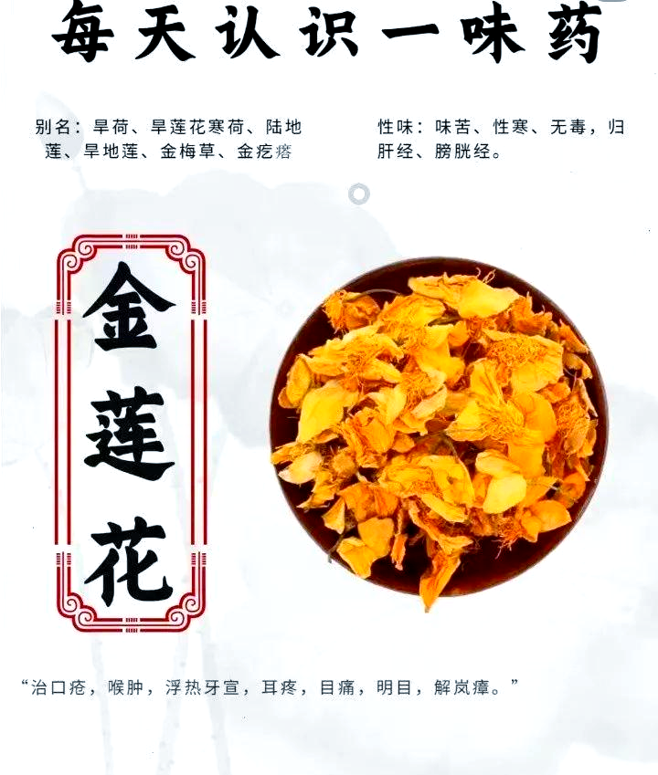 —金莲花的多样功效与食用方法