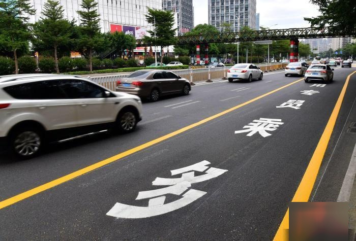 分离式道路实际图图片