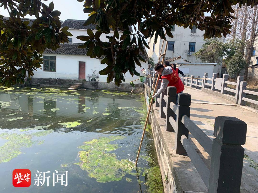 张家港市大新镇:打好河道治理"组合拳",绘就水清岸绿"新画卷"