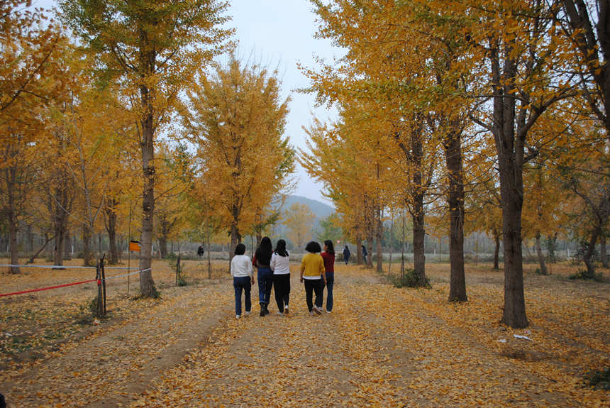 湖北中烟红安卷烟厂协力打造贡家河村美好环境