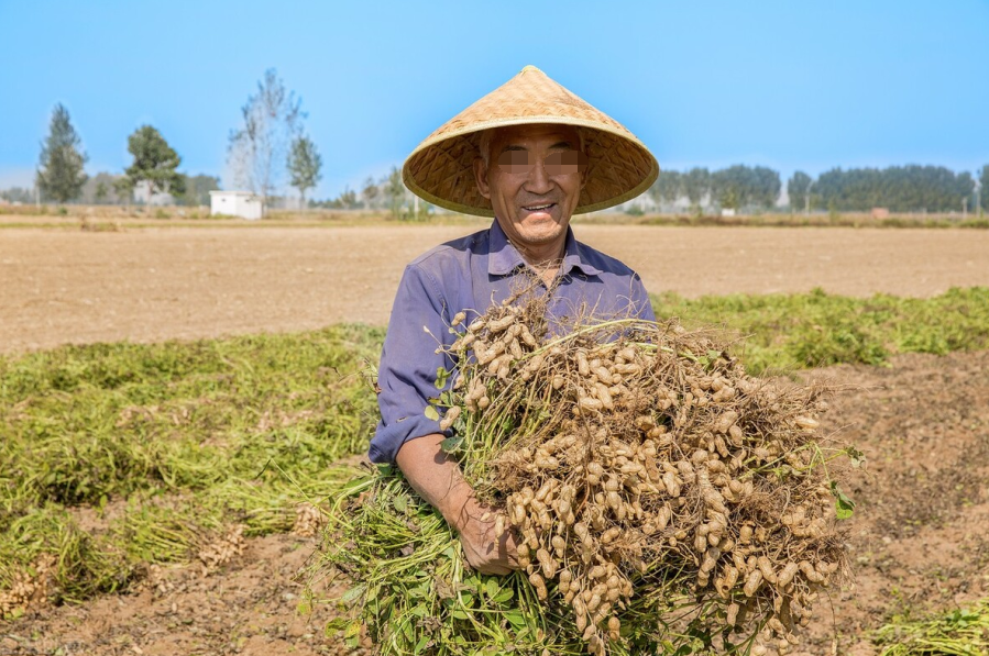 种花生的农民伯伯 这3种花生米不能买