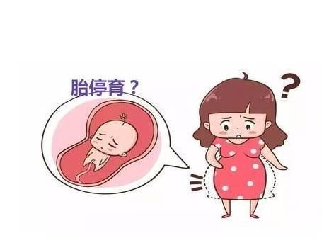 胎停育是怎么回事?这4点做好,有利预防试管婴儿发生胎停育!