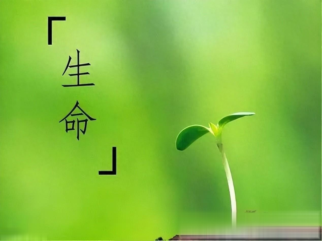 生命无常,珍惜当下