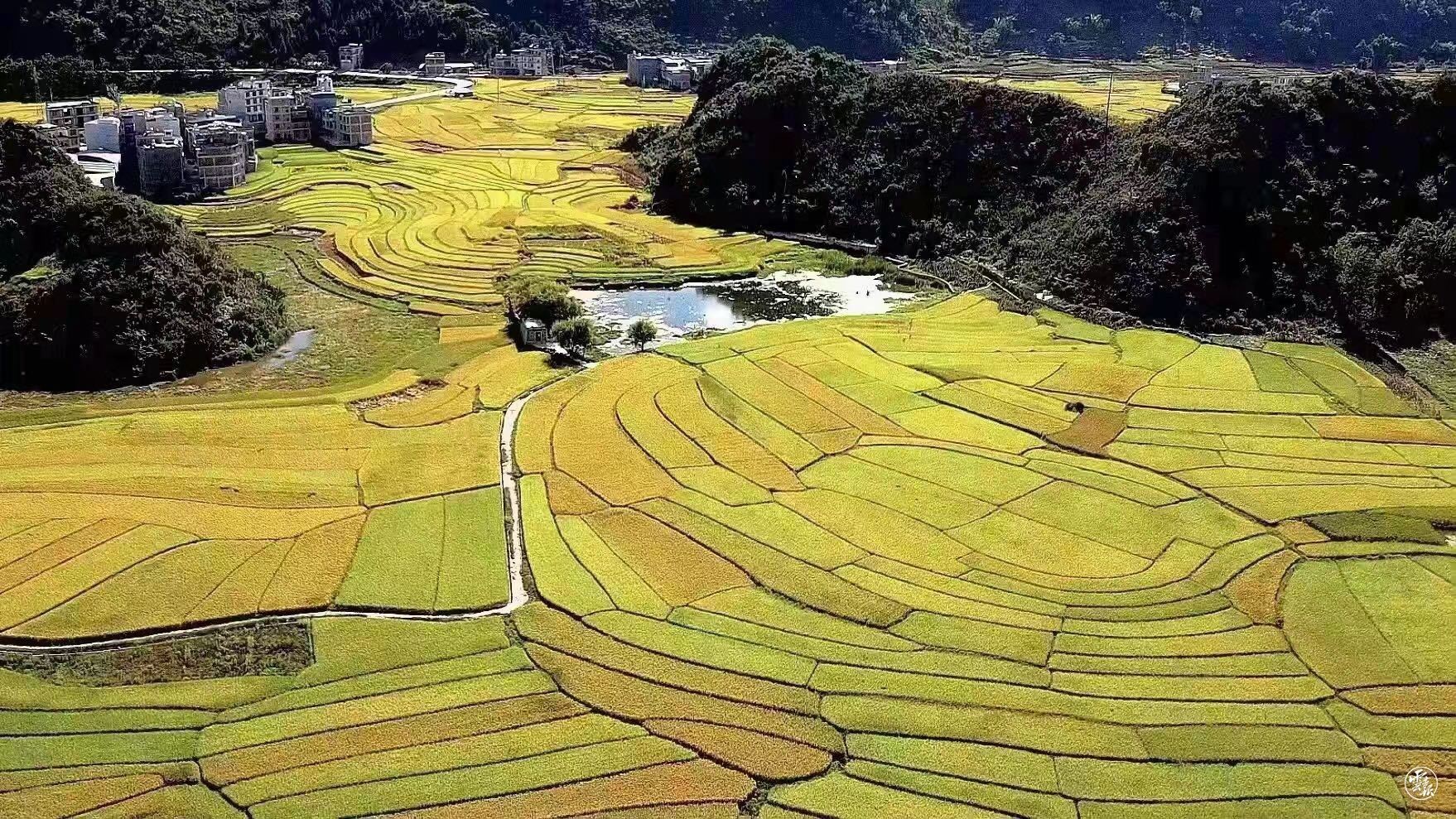 昆钢公司助广南县旧莫乡实现农副产品精准销售