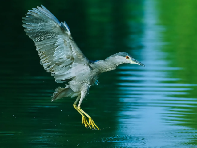 500k的照片尺寸一般是多大的