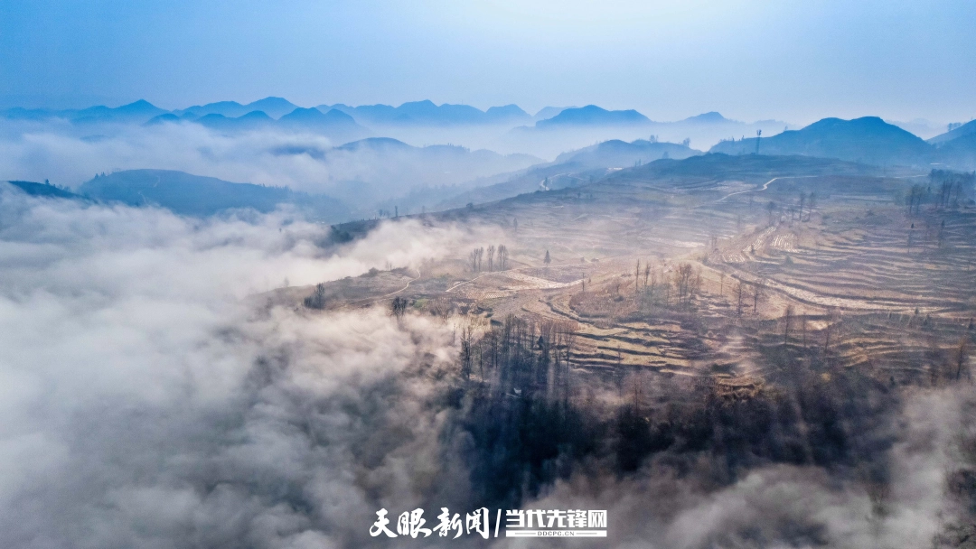 影像贵州|大方县牛场乡云海美如画