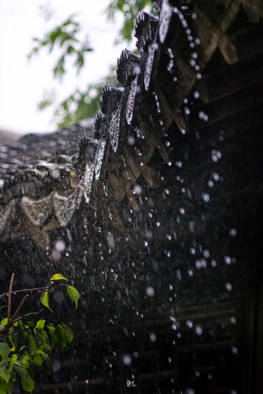 雨水的图片景色大图图片