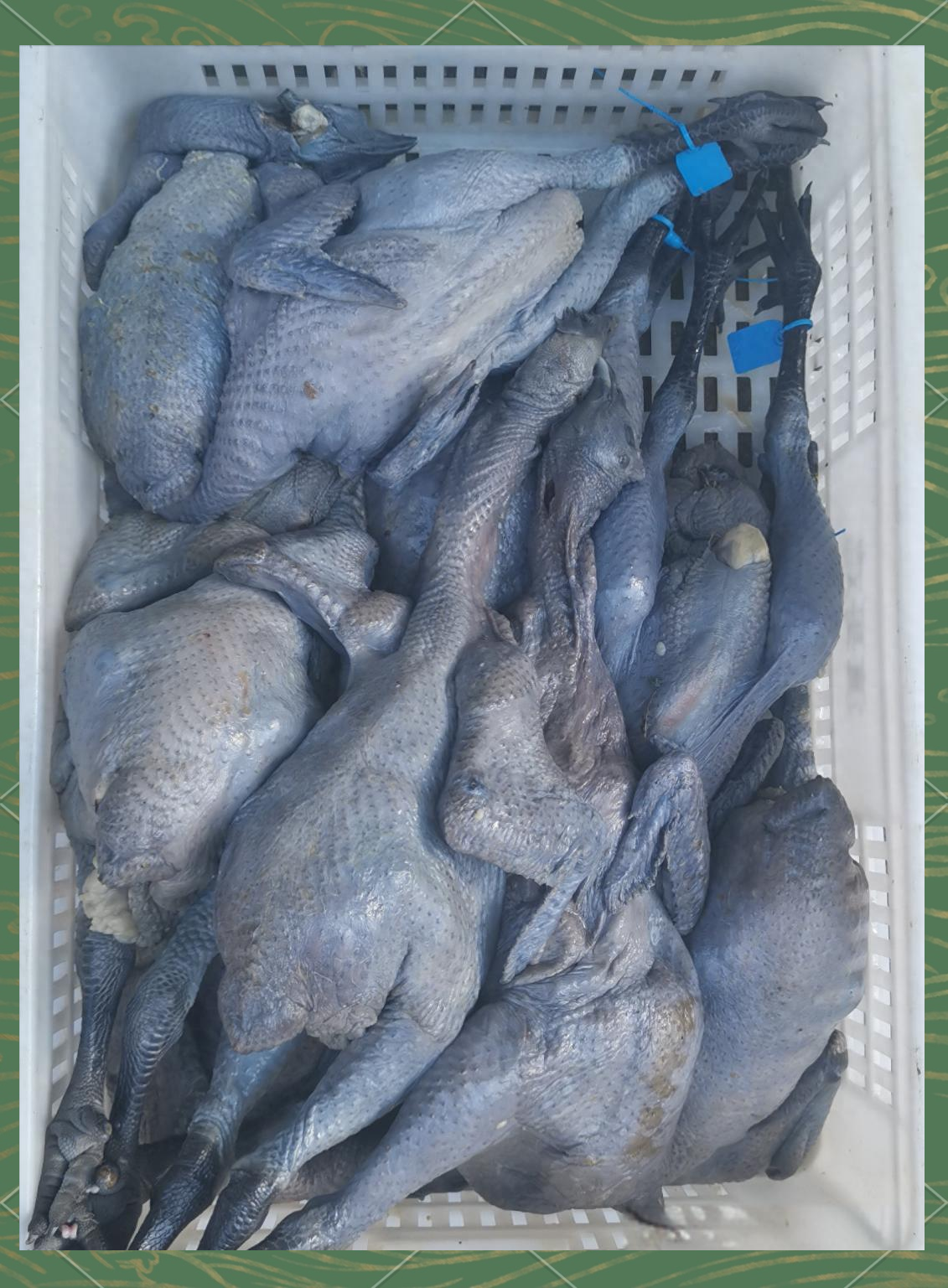 云南土杂乌鸡批发服务,冷冻冰鲜多种选择