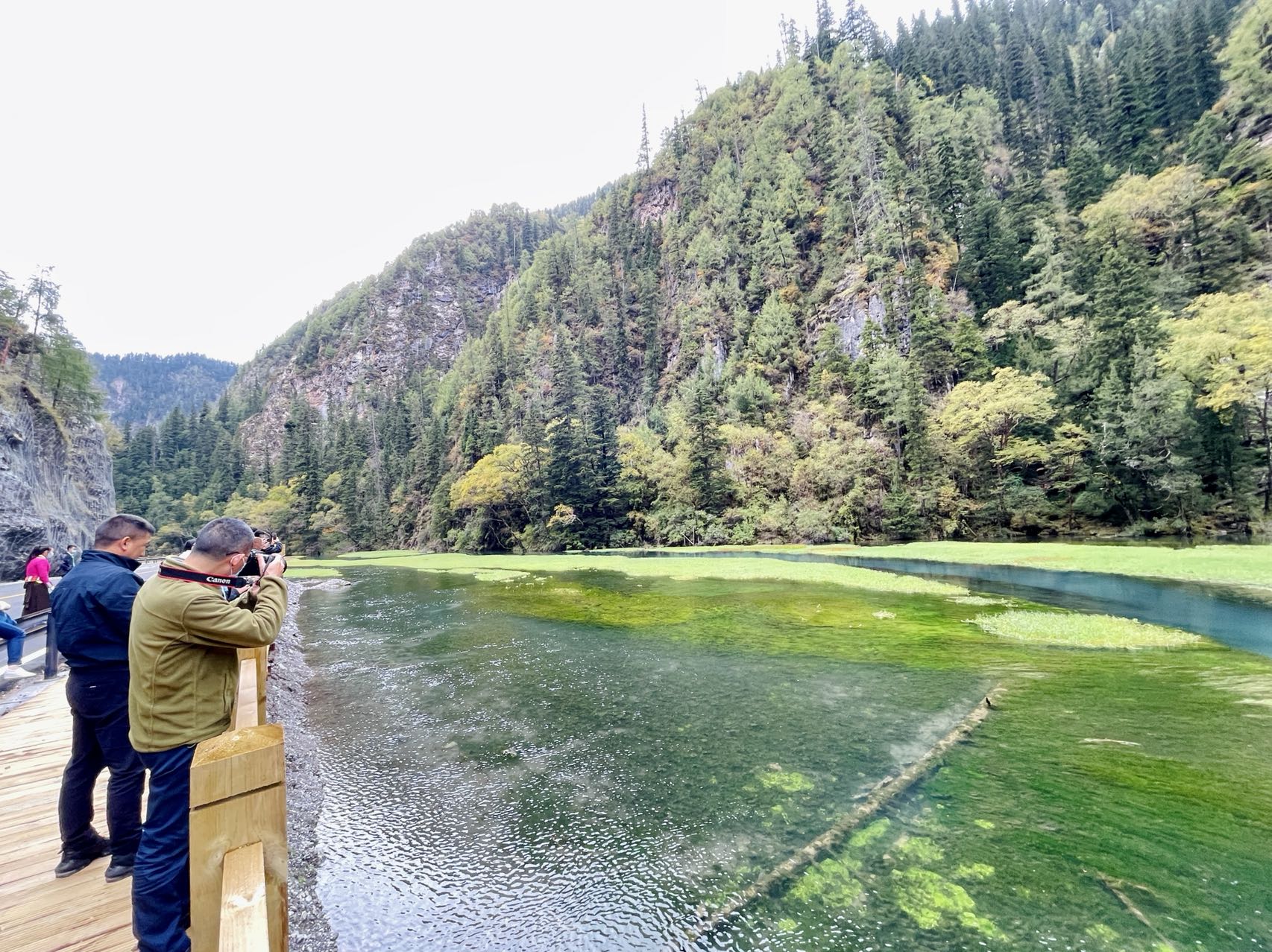 "补妆"归来的天鹅海 摄影 王雪娟