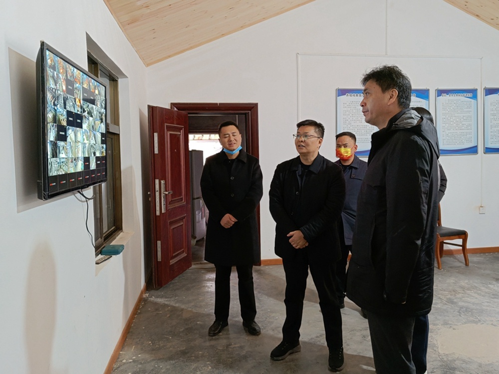 吴大林在县河镇调研